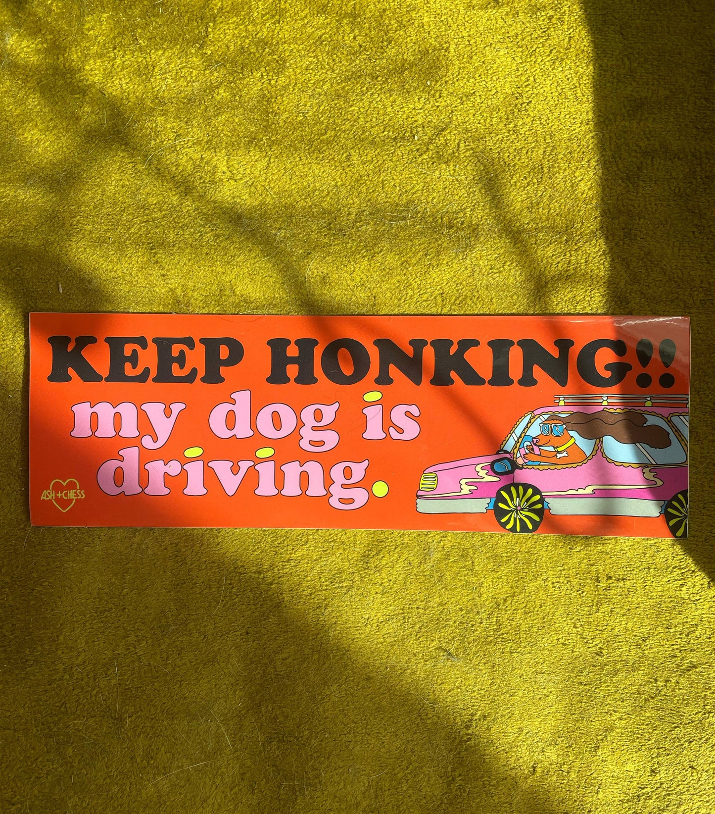 Keep Honking! My Dog Is Driving